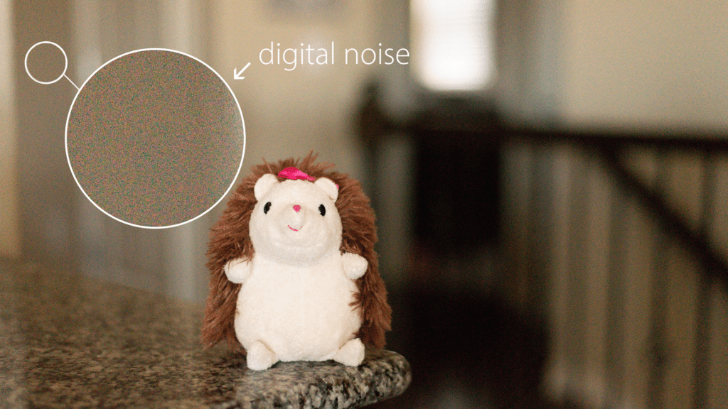 Why Are My Photos Grainy? ISO Tutorial Anne Jensen Photography